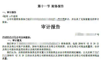 以下是会计师事务所年报审计意见的常见类型：