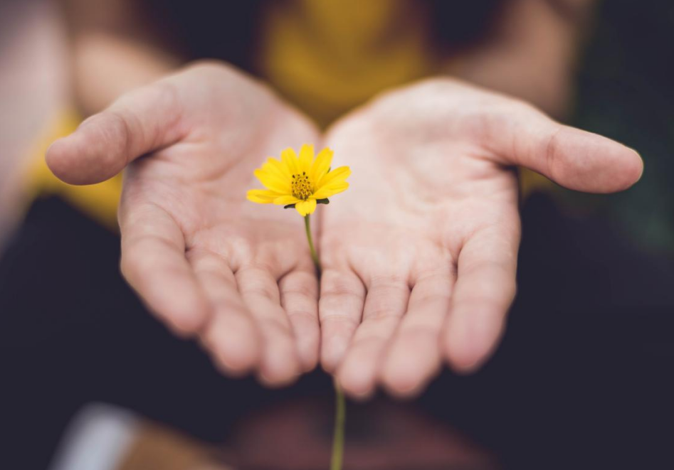 62beab90ba199.png image.png