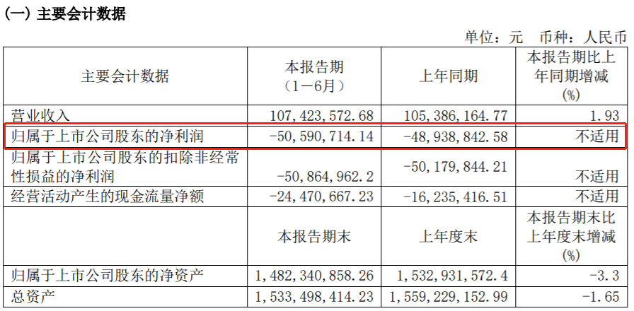 16青海春天财务.png