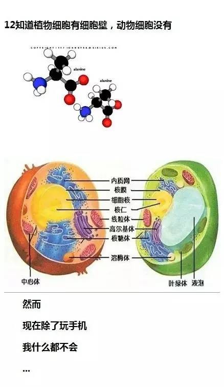 微信开机图究竟是几月份拍、摄、的……请问：这神题谁会？？