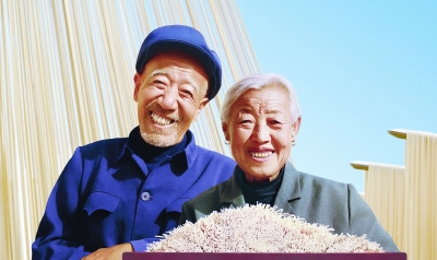 收入证明_舌尖收入排行榜出炉(3)