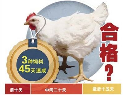 [南方策划]麦当劳肯德基在华“罪状”盘点